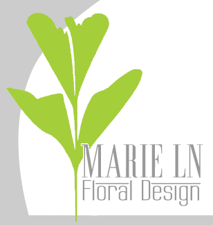 PALM LOGO